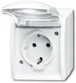 Produktbild: Busch-Jaeger 20 EW-54 SCHUKO Steckdose mit Klappdeckel, Ocean IP 44, alpinweiß (2CKA002083A0834)