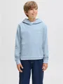 Produktbild: Jack & Jones Junior Kapuzensweatshirt JJEBRANDES BACKP RELAXED SWEAT H SN JNR Baumwollmischung, relaxed fit