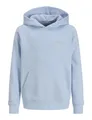 Produktbild: JACK & JONES JUNIOR Jjebrandes Backp Relaxed Sweat H Sn Jnr