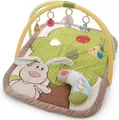 Produktbild: Nici Baby Gym My First NICI Kollektion, 3-D Activity-Decke, mit Spielkissen Hase und Eule