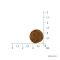 Produktbild: Hundefutter vegetarisch 1kg Erbse Tapioka Kürbis Christopherus