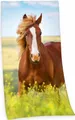 Produktbild: Herding Young Collection Badetuch Pferd, Frotteevelours (1-St), 75x150 cm, hochwertig bedruckt, mit Pferdemotiv