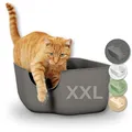 Produktbild: PiuPet® Katzentoilette XXL - Moderne Toilette für Katzen - Katzenklo groß mit hohen Wänden - großes Katzenklo - Offenes Katzenklo | Katzentoiletten | Katzen Klo | Katzenklo XXL (Grau)