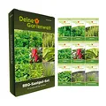 Produktbild: BBQ Samen Set - 9 Sorten Samen - Saatgut Sortiment - Anzuchtset für Grillkräuter - Basilikum, Thymian, Rosmarin, Oregano, Jalapeno, Salbei, Majoran, Estragon, Schnittknoblauch