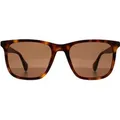 Produktbild: Ted Baker TB1724 Jacobe 104 Glanz dunkel schildpatt braun Sonnenbrille