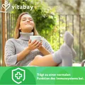Produktbild: vitabay Vitamin C + Zink Gepuffert- 1.000 mg mit Bioflavonoiden
