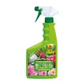 Produktbild: COMPO Duaxo Rosen Pilz-frei AF 750 ml Zierpflanzen Sternrußtau Mehltau Rost