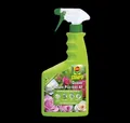 Produktbild: Compo Duaxo ROSEN Pilz-frei AF 750 ml Fungizid Gemüse Mehltau Rost Sternrußtau