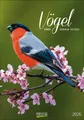 Produktbild: Korsch Großer farbiger Vogelkalender Monatskalender Wandkalender 2026