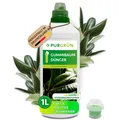 Produktbild: Purgrün Gummibaum Dünger, NPK 7+5+6, Guano, Blattpflege, 1L