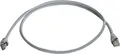 Produktbild: Telegärtner Patchkabel Cat.6A MP8 FS 500 LSZH-0,5 m, grau (L00000A0072)