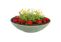 Produktbild: matches21 HOME & HOBBY Blumentopf Flache Pflanzschale für draussen Dekoschale rund olivgrün 45 cm (1 St), Blumen-Schale als wetterfeste Friedhof-Schale Grab-Schmuck Grabschale
