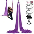 Produktbild: VEVOR Aerial Yoga Hängematte Set 8 x 2,8 m, Lila Aerial Yoga Swing Air Fliegen, Indoor Aerial Yoga Hammock Swing 1000 kg Max. Tragfähigkeit, inkl.