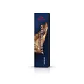Produktbild: Wella Koleston Perfect Me+ 60 ml Alle Nuancen