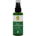 Produktbild: WALDSPAZIERGANG Raumspray Bio 50 ML