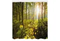 Produktbild: Abakuhaus Duschvorhang Moderner Digitaldruck mit 12 Haken auf Stoff Wasser Resistent Breite 175 cm, Höhe 180 cm, Wald Sonnenstrahlen Woods Laub