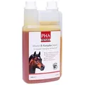 Produktbild: PHA VitaminB- Komplex Liquid für Pferde 1000 ml