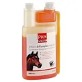 Produktbild: PetVet GmbH PHA Vitamin B Komplex Liquid f.Pferde 1000 ml 09670848