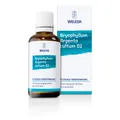 Produktbild: BRYOPHYLLUM ARGENTO cultum D 2 Dilution 50 ml