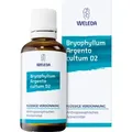 Produktbild: Bryophyllum Argento cultum D 2 Dilution 50 ml