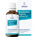 Produktbild: Bryophyllum Argento Cultum D 2 Dilution 50 ml