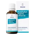 Produktbild: BRYOPHYLLUM ARGENTO cultum D 2 Dilution 50 ml
