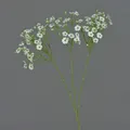 Produktbild: artplants Dekozweig Schleierkraut SIKINOS, weiß, 65cm