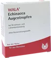 Produktbild: WALA Heilmittel GmbH ECHINACEA AUGENTROPFEN 5X0.5 ml 01448139