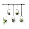 Produktbild: 1018086-040 - TRIFLORA Großer Hängeblumentopf 5er Set, schwarz