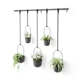 Produktbild: Umbra Triflora Hängeblumentopf für Fenster, Indoor-Kräutergarten, 5er-Set, Schwarz