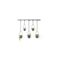 Produktbild: 1018086-040 - TRIFLORA Großer Hängeblumentopf 5er Set, schwarz