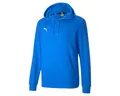 Produktbild: PUMA Hoodie teamGOAL 23 Casuals Hoody