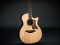 Produktbild: Taylor 814ce Builder's Edition BE814ce