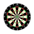 Produktbild: Precise180 - Dartboard Endorphine - Gunmetal - Premium Dartboard mit One Piece Zahlenring - 18 Farben - Dartscheibe Nummernring - Dartzubehör