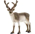 Produktbild: Schleich® Spielwelt Schleich Rentier, 14837