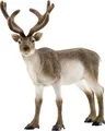 Produktbild: Schleich Rentier, 14837