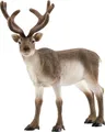 Produktbild: Schleich SPIELTIERE, -FIGUREN UND ZUBEHÖR Rentier