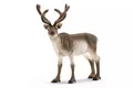 Produktbild: 4059433921662 SLH renifer 20_ 14837 21662 Schleich