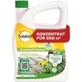 Produktbild: Solabiol - Grundstoff Acetum - Zur Unkrautbeseitigung Auf Wegen Und Terrassen - 3 Liter