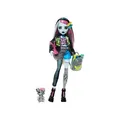 Produktbild: Mattel HXH73 - Monster High - Frankie Stein-Puppe