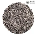 Produktbild: 25 kg. Boill Sonnenblumenkerne 100% gestreift - Vogelfutter direkt vom Hersteller