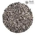 Produktbild: 25 kg. Boill Sonnenblumenkerne 100% gestreift - Vogelfutter direkt vom Hersteller