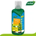 Produktbild: Westland 500 ml Zitruspflanzen Dünger Orangen Zitronen Limetten Baum Pflege