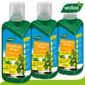 Produktbild: Westland 3x 500ml Zitruspflanzen Dünger Zitrone Limetten Orangen Baum Wachstum