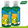Produktbild: Westland 2 x 500 ml Zitruspflanzen Dünger »Die Nr 1 in England für den Garten«