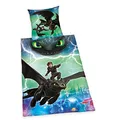 Produktbild: Herding DREAMWORKS DRAGONS Bettwäsche-Set, Wendemotiv, Bettbezug 140 x 200 cm, Kopfkissenbezug 70 x 90 cm, Baumwolle/Renforcé