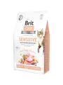 Produktbild: Brit Care Cat Grain-Free Sensitive Healthy Digestion and Delicate Taste 2kg BK970200