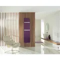Produktbild: Zehnder ZV101650B100000 Design-HK Vitalo Bar VIP-160-050