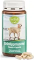 Produktbild: Sanct Bernhard Grünlippmuschel Hunde Kapseln- 150 Kapseln