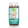 Produktbild: Sanct Bernhard tierlieb Grünlippmuschel Hunde-Kapseln